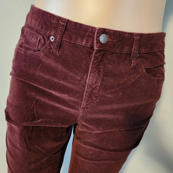 Brushed velvet style pants - Picture 5 of 5
